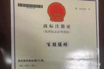 福州設立“辦不成事”窗口，稅務咨詢迎來新變革